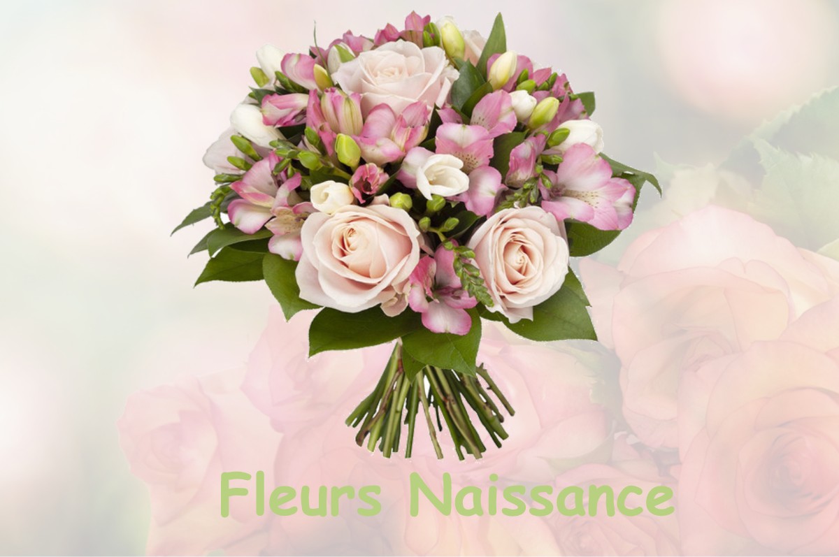 fleurs naissance HARVILLE