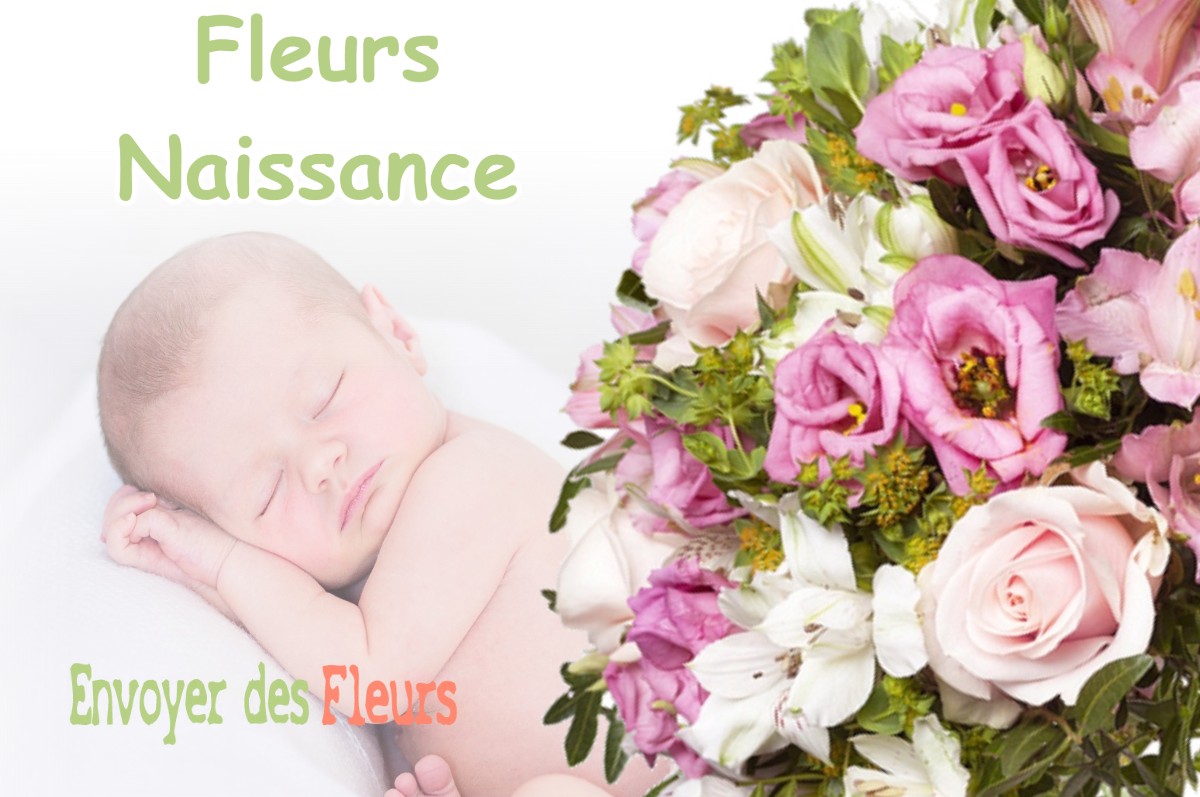 lIVRAISON FLEURS NAISSANCE à HARVILLE